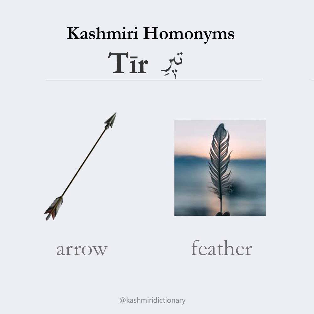 Teer – arrow/feather