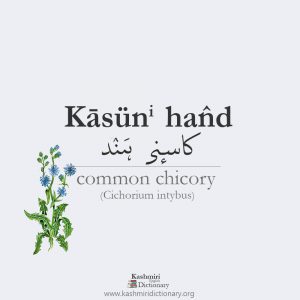 kasuni hand_kashmiri_hand_vegetable