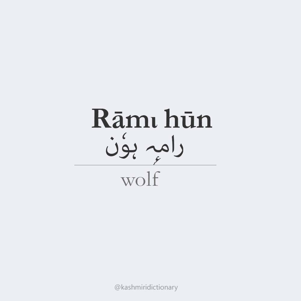 Rāmι hūn – wolf