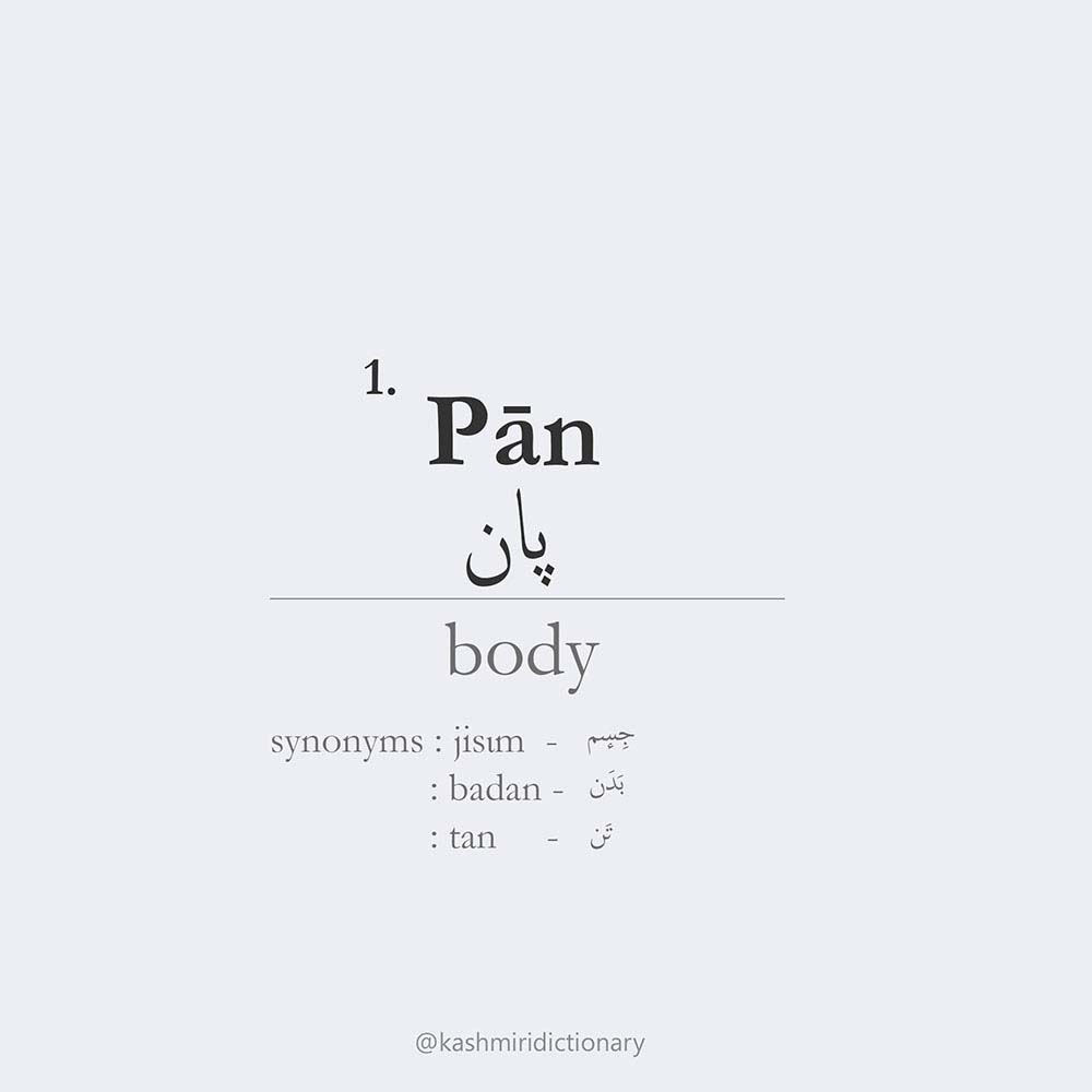 paan - body