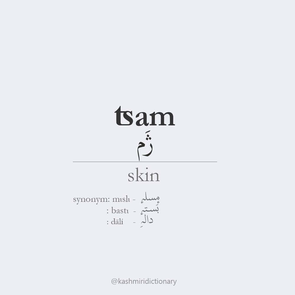 tsam _ skin_kashmiridictionary