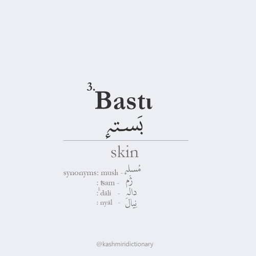 basti _ skin_kashmiri dictionary