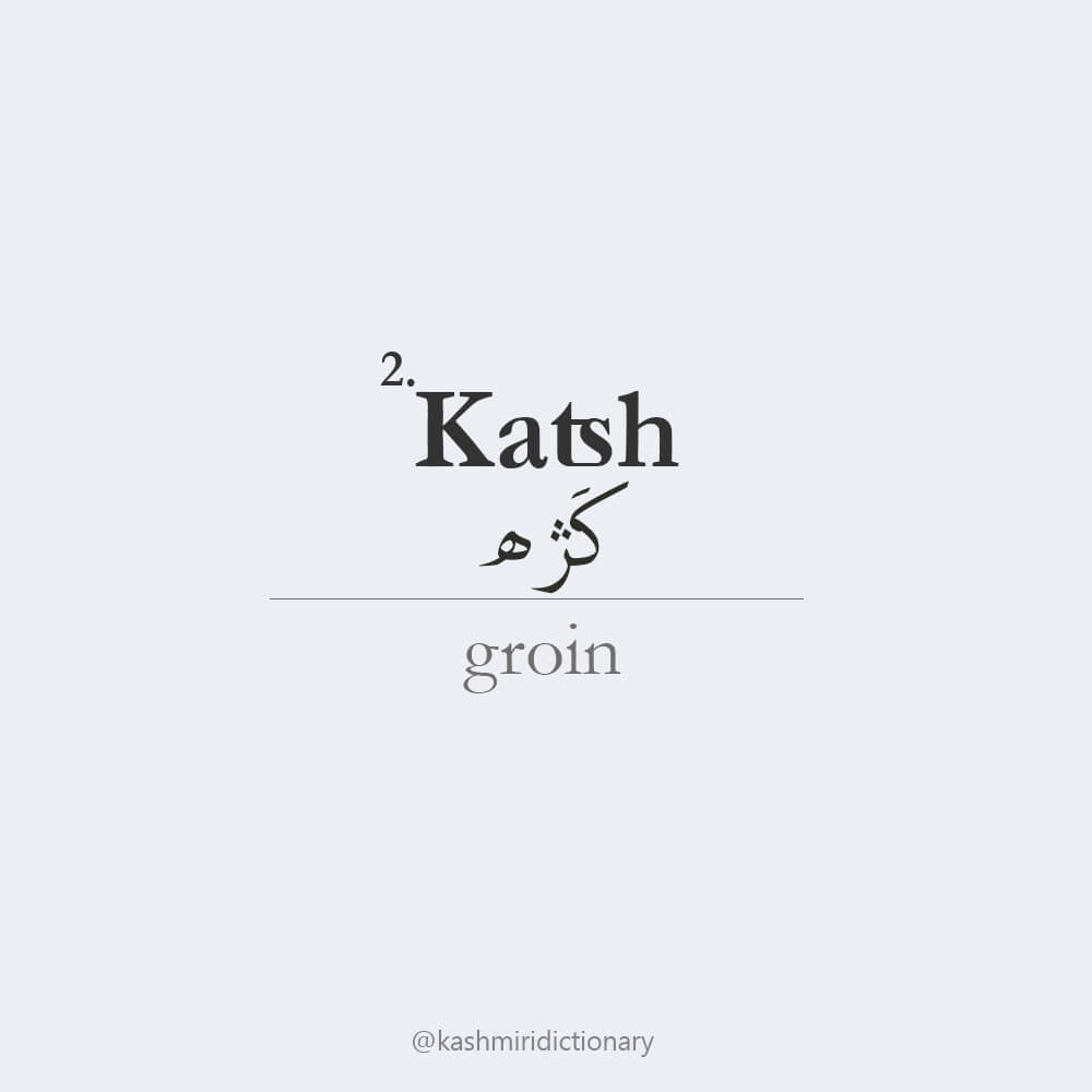 katsh_groin_kashmiri