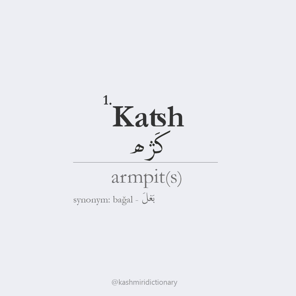 katsh_armpits_kashmiri