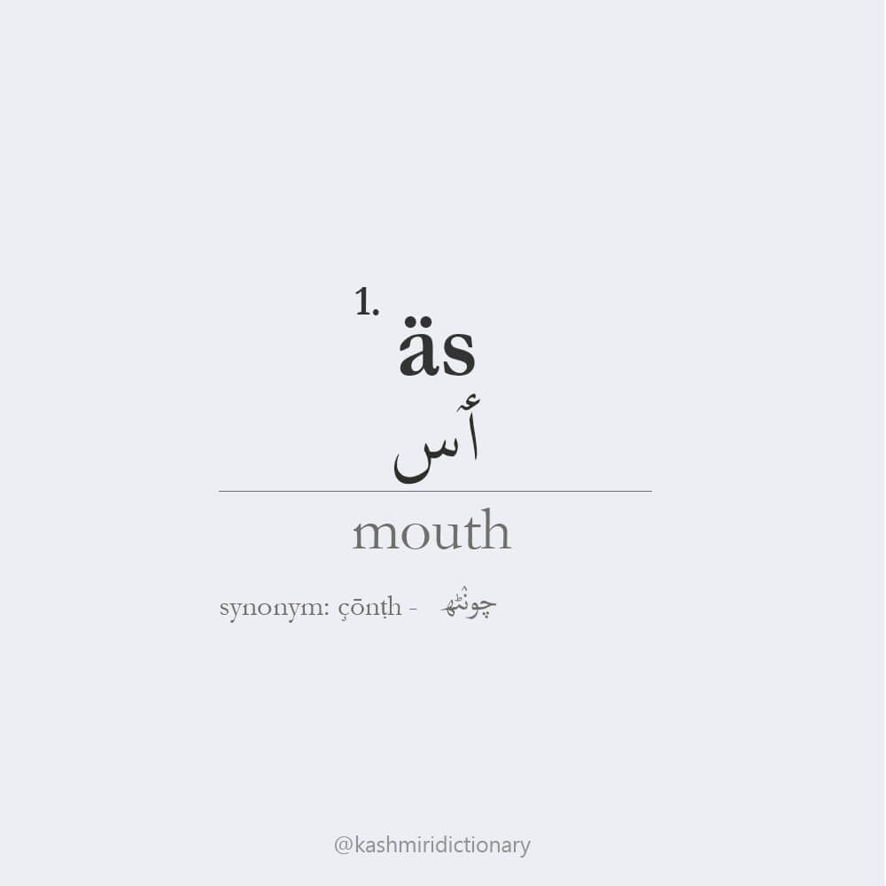 aaes_mouth_kashmiri dictionary