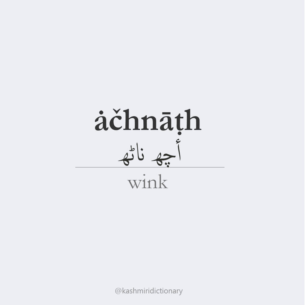 achnath_wink_kashmiri_kashmirilanguage_KASHMIRIDICTIONARY