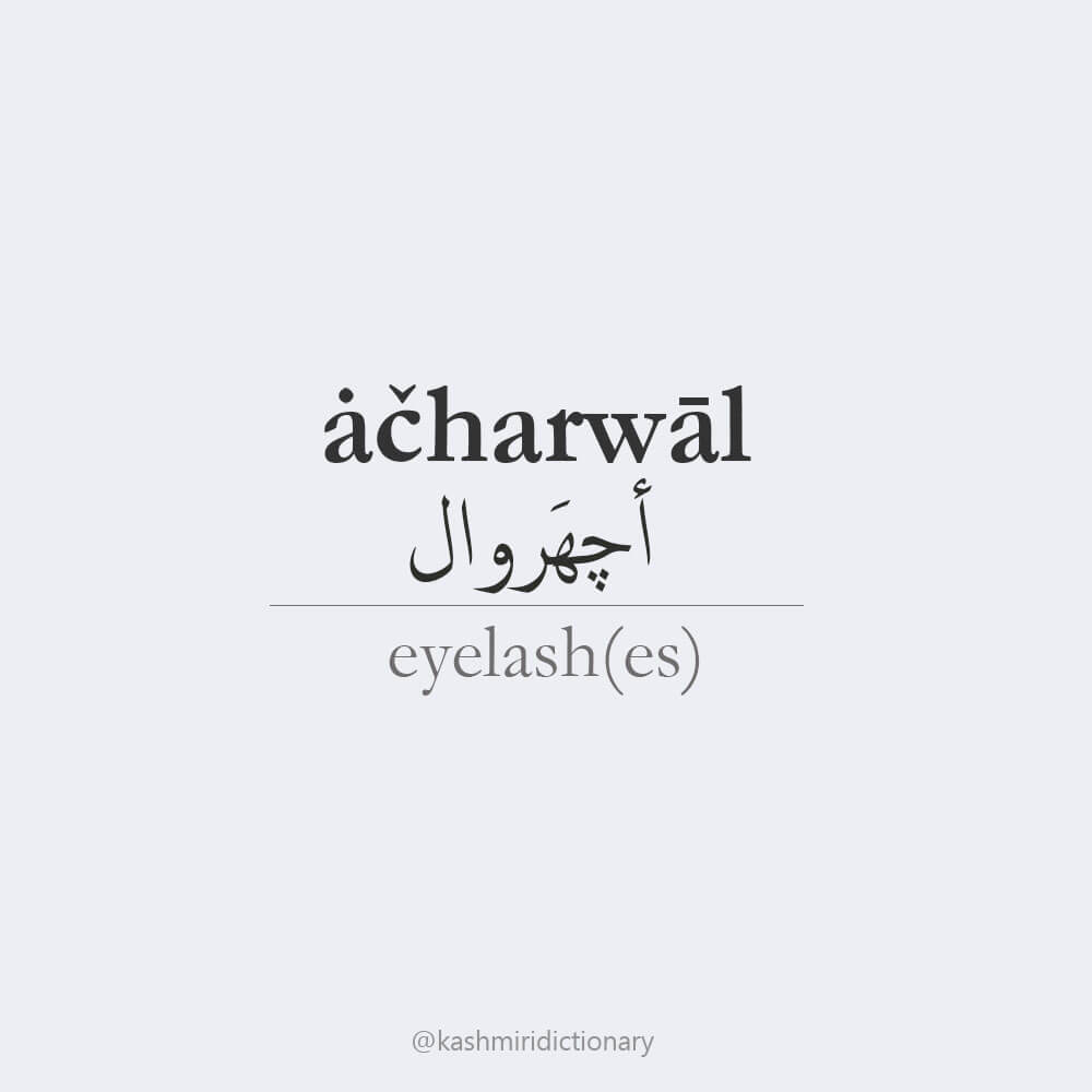 acharwaal_kashmiri_eyelashes_eyelash_kashmiridictionary
