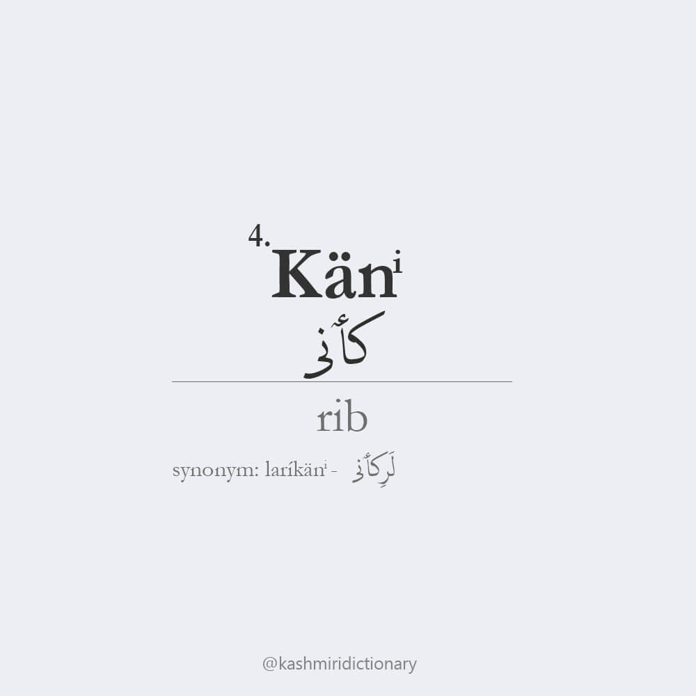 kaaen_ rib _ kashmiri