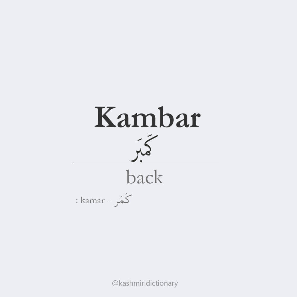 kambar_back_kashmiri_kamar