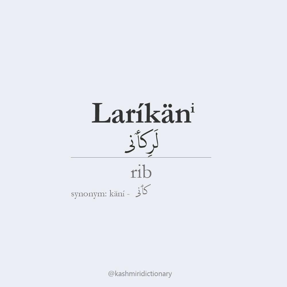 larkaani _ rib _ kashmiri