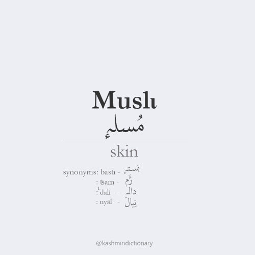 Musli_skin_ kashmiridictionary