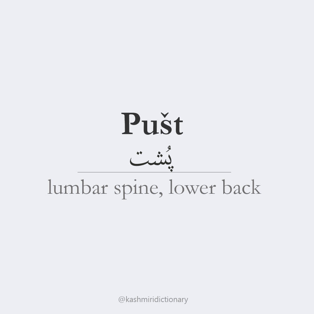 pusht_lowerback_kashmir