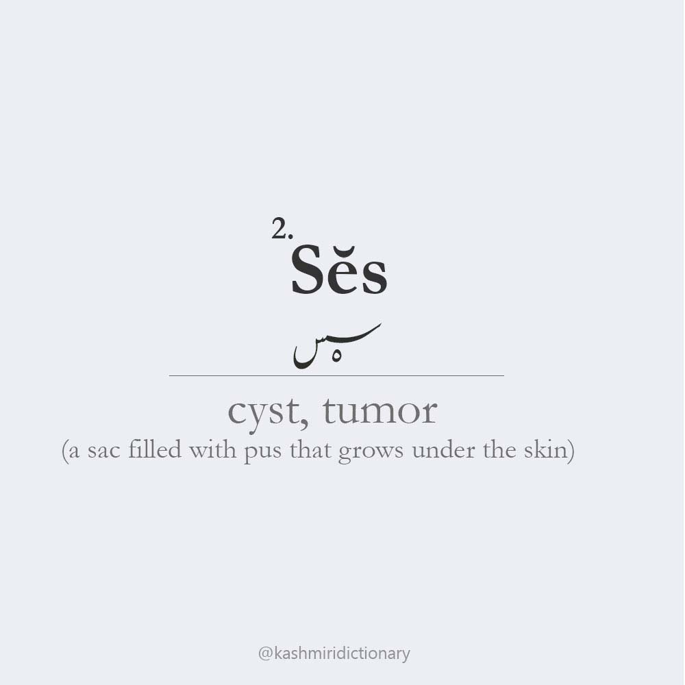 syes - tumor - cyst - kashmiri dictionary _ kashmir _ kashmirilanguage