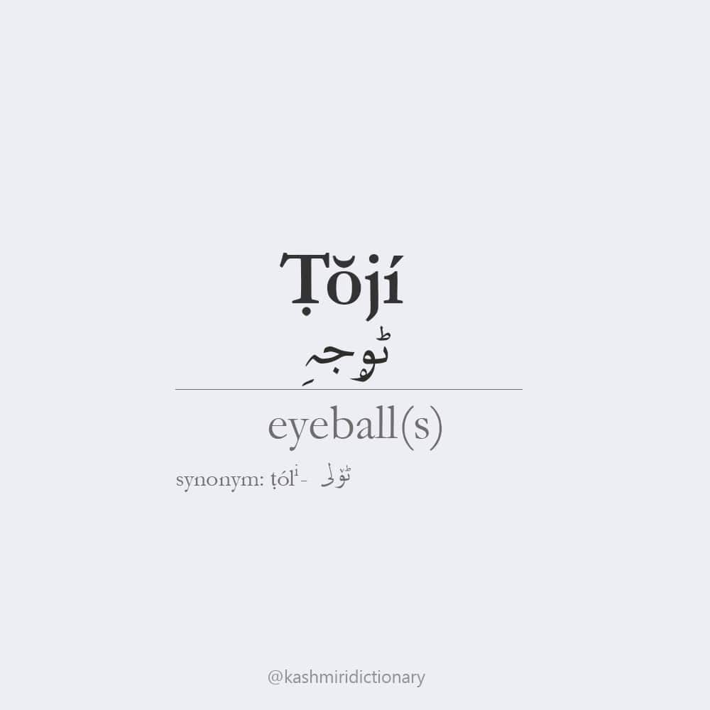 toji - eyeballs - kashmiri language