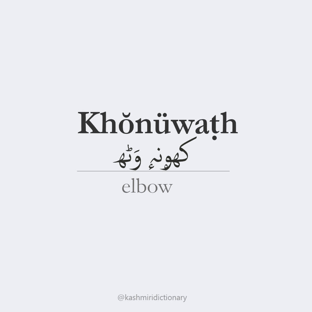 khoniwath _ kashmiri _language _kashmir