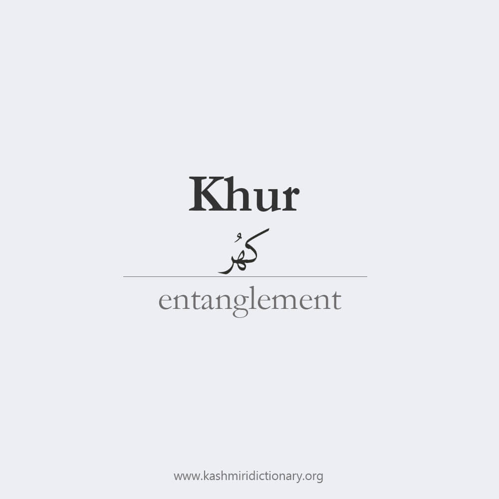 khur_kashmiri_entanglement_tangled