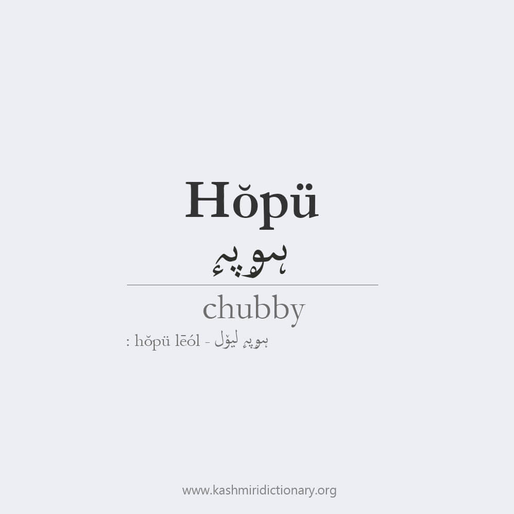 hopu_chubby_kashmiri_kashmiridictionary