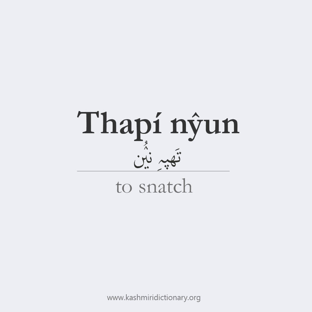 thapi nyun_ to snatch _ to take _ kashmiri_learnkashmiri
