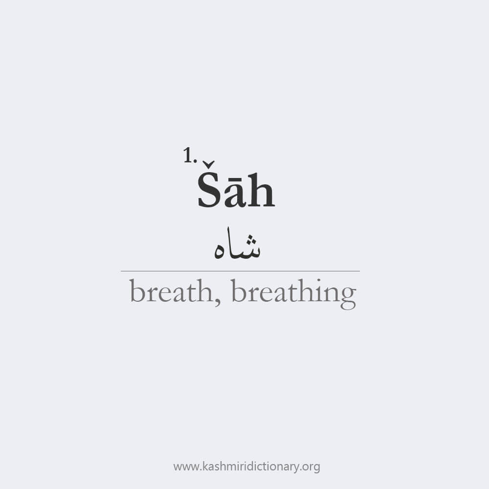 shah_breathe_king_kashmiri