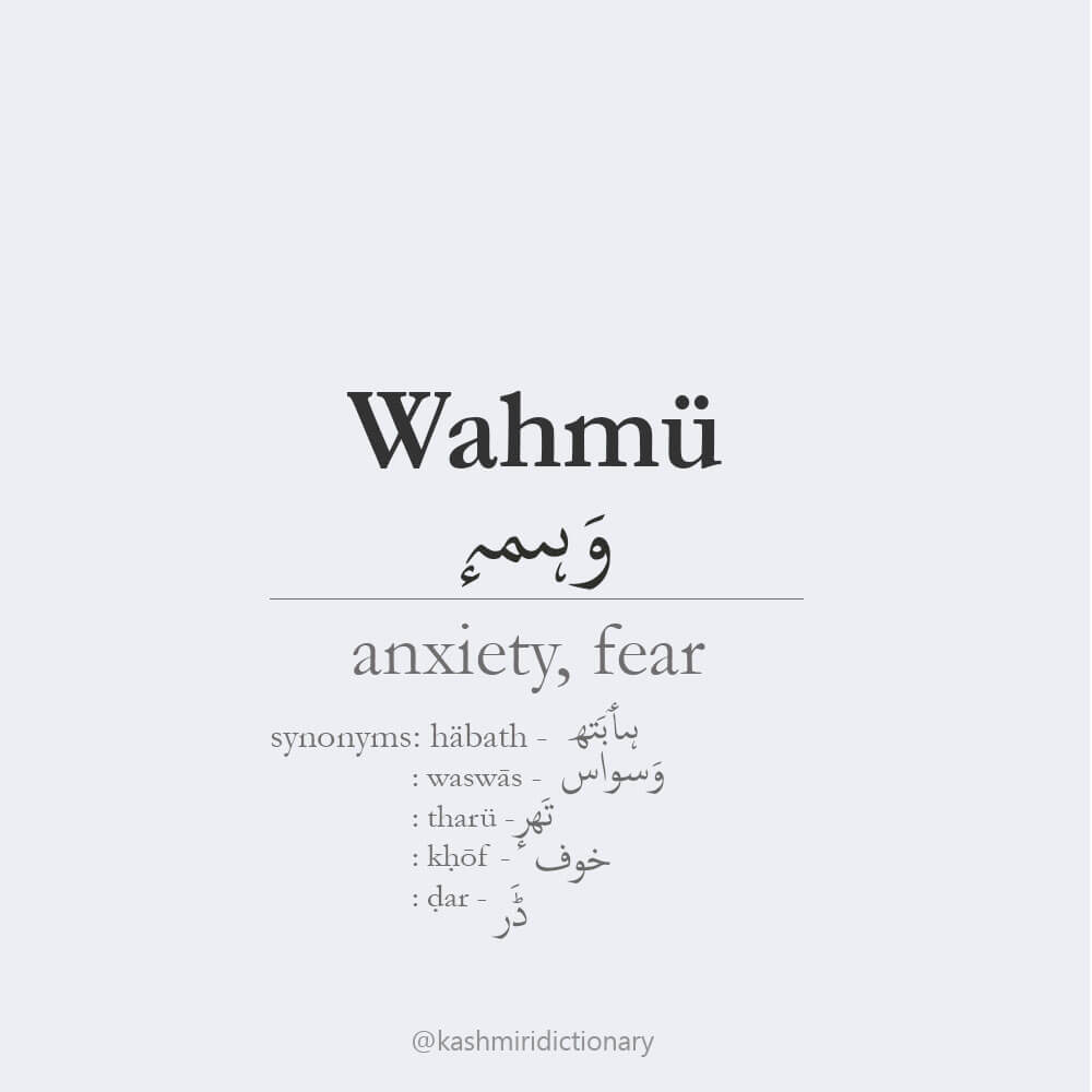 wahmu_dar_fear_anxiety_kashmiri_kashmirilanguage