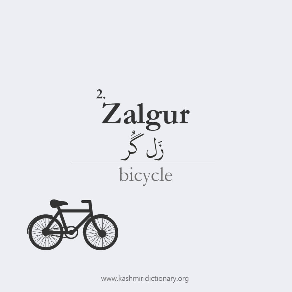 zalgur_bicycle_kashmiri