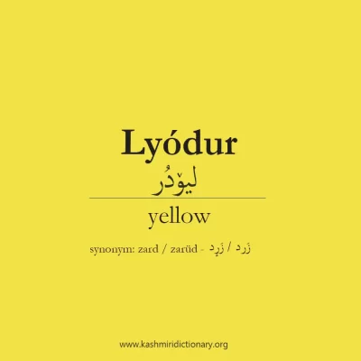 Lyodur02_yellow_kashmiri-dictionary-_-kashmiri_website