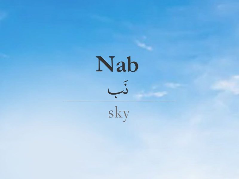 nab-kashmiri-dictionary