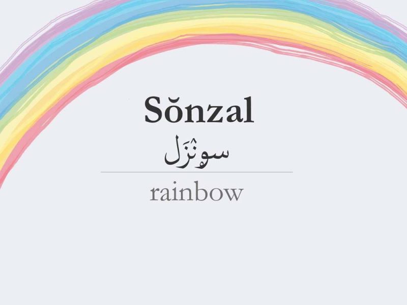 sonzal-rainbow